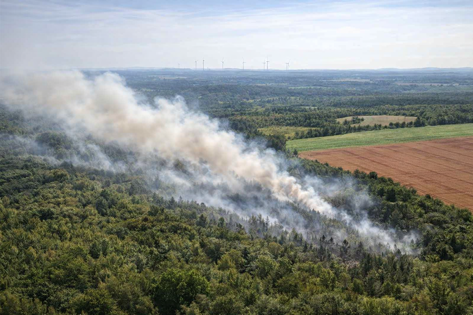 Symbolbild Schwelbrand über Wald und Feldern